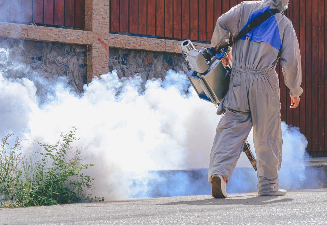 Fumigación en Benito Juárez: Servicios Profesionales de Control de ...